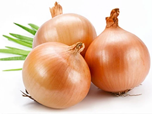 Cebola